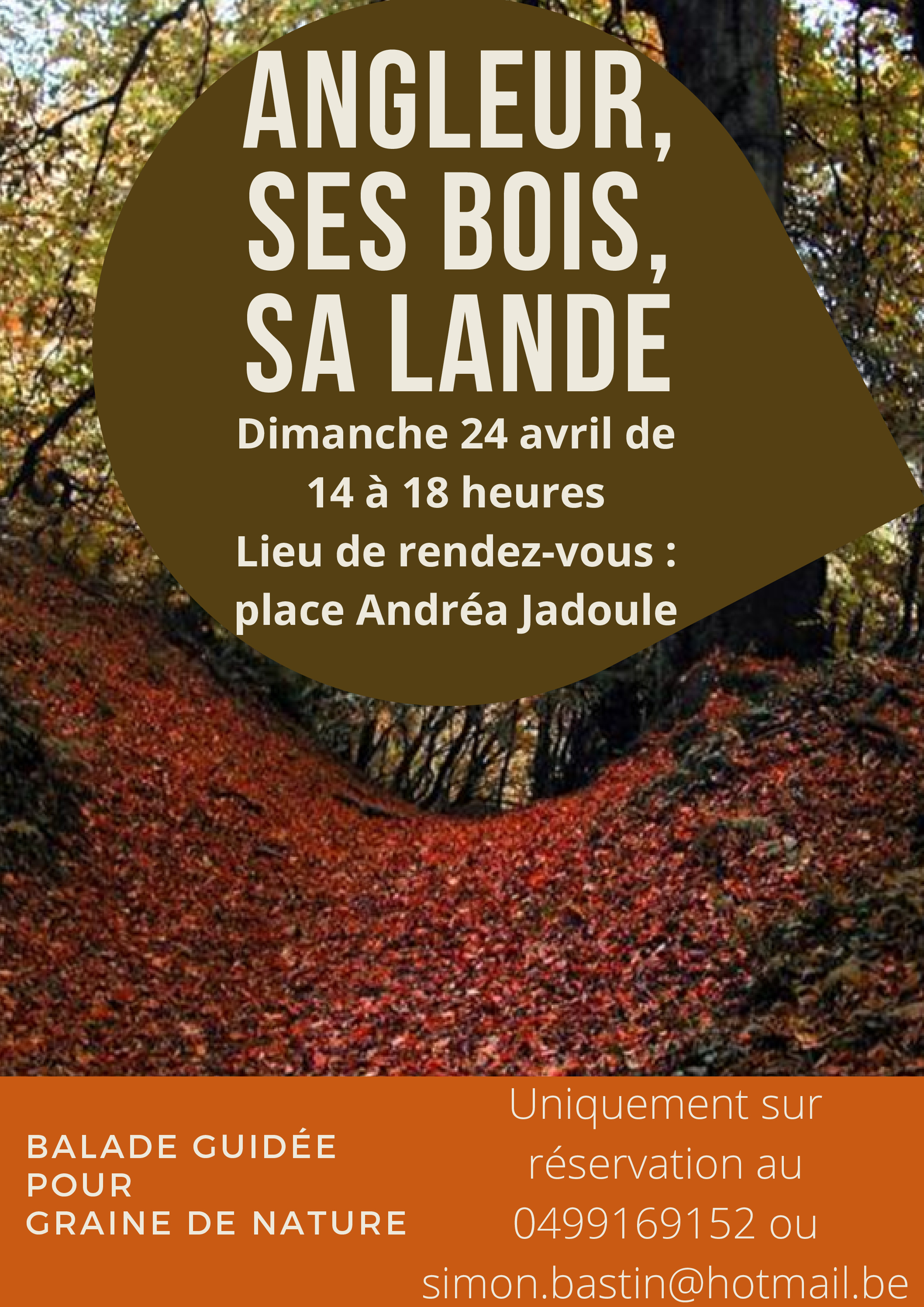 Angleur, ses bois et sa lande